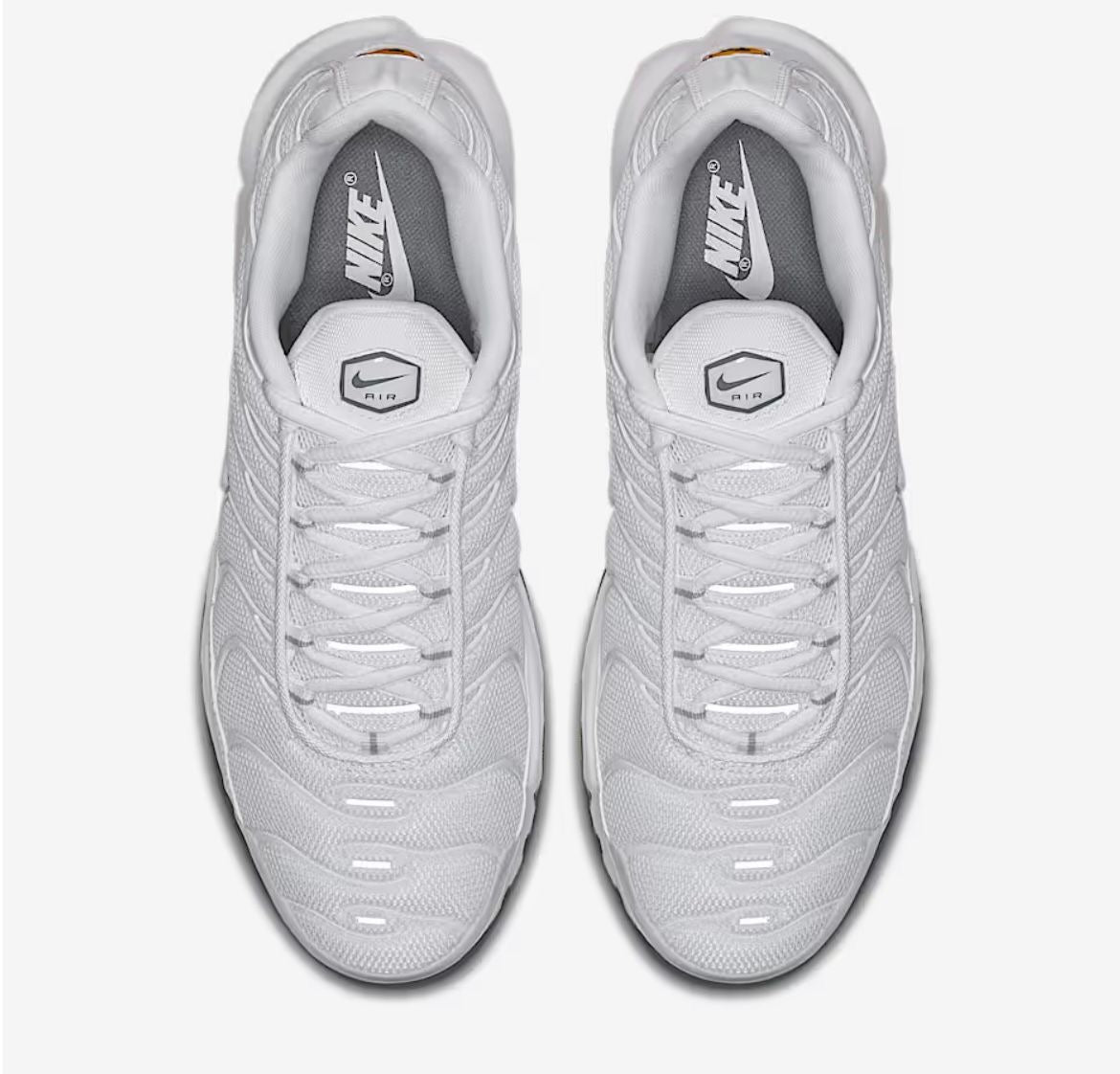 Nike TN Air Max Plus